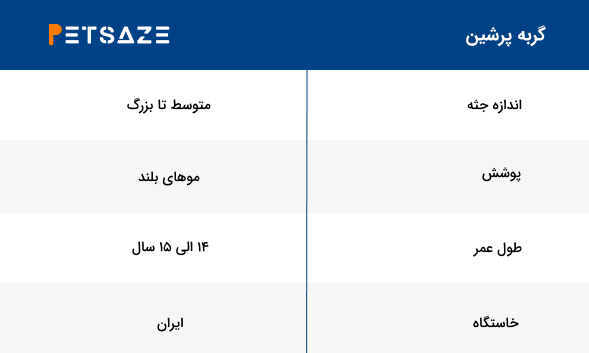 لیست نژاد گربه ها - گربه پرشین