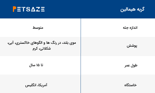 لیست نژاد گربه ها