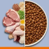 غذای خانگی سگ