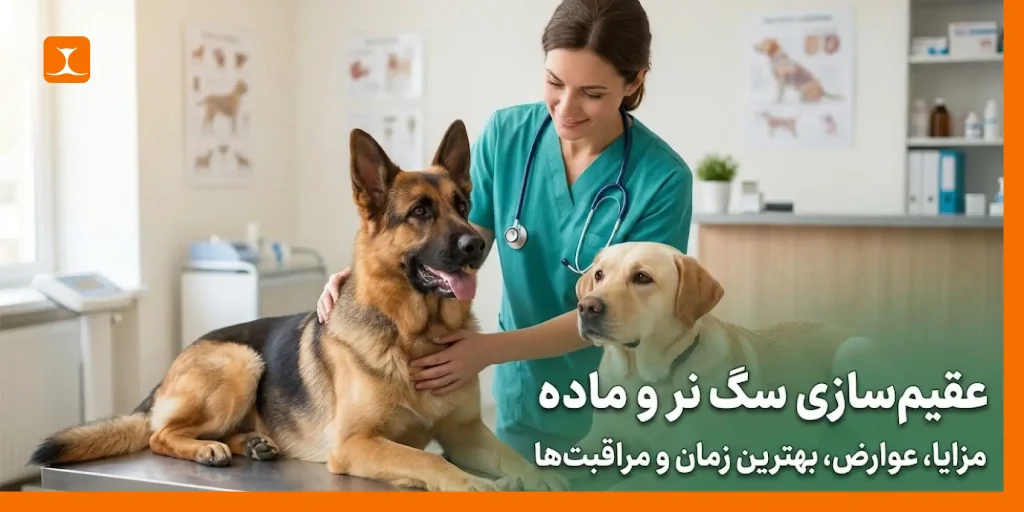 عقیم سازی سگ