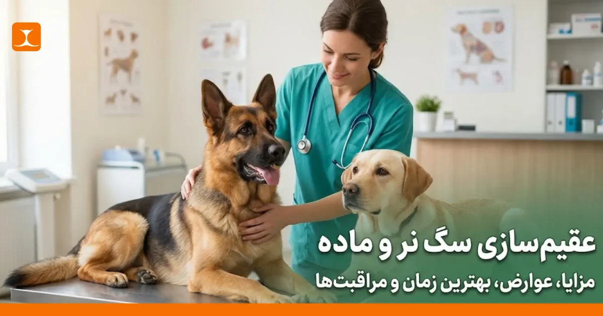 عقیم سازی سگ